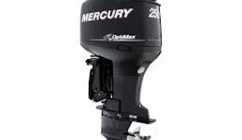 MERCURY OPTIMAX  200
